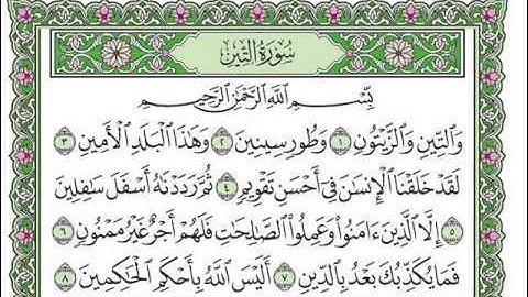 سورة التين بصوت الشيخ سعد الغامدي