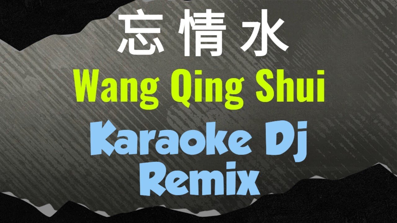 Wang Qing Shui Karaoke 忘情水 Dj Proghouse || Andy Lau 刘德华