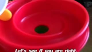Celebrity Marble Race 20 w/ all Solid Colored Marbles Net Worth