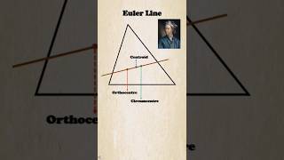 A very special line-Euler Line!!! #maths #shortsfeed #triangle #centroid #median #altitude #circle