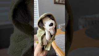 rescue and restore this jellycat dog with me!!! 🥹💚 #jellycat #plushies