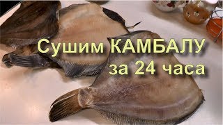 ✅ Камбала Ёрш Вяленая к Пиву. Быстро, Вкусно и Просто Рецепт