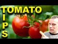12 Tomato TIPS - Become A BETTER Gardener