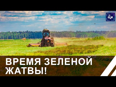 Видео: Хозяйства страны приступили к массовой заготовке кормов. Панорама