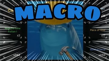 How To Use DOLPHSOLS MACRO in SOLS RNG!