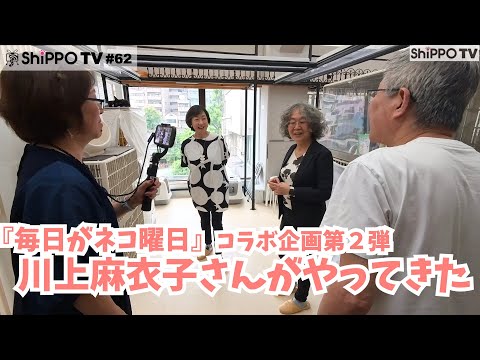 『毎日がネコ曜日』コラボ企画第2弾 川上麻衣子さんがやってきた 【ShippoTV 保護猫情報番組vol.62】