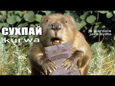 Polish dry pie | Polish MRE.