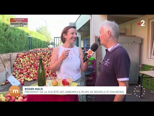 Jus de pommes : le pressoir collectif de Rossfeld // Télématin - Fenêtre sur les régions - France 2