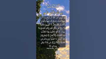 #سورة_النور #صلاح_بوخاطر #القرآن_الكريم #اكسبلور #المصحف #duet #quran #تيك_توك #دويتو #حالات_واتس
