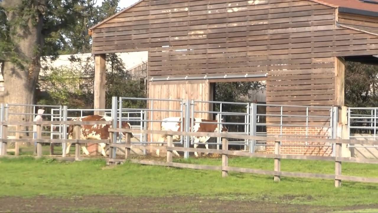 New Gokul Hilton of Farms YouTube