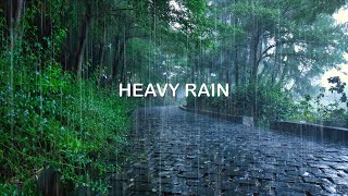 Rain on A Quiet Path | Soothing Rain Sounds for Relaxation, Sleep, Study, Stress Relief