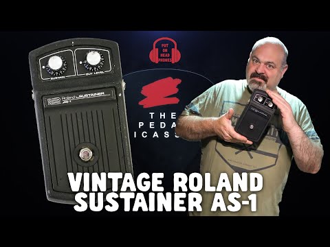 VINTAGE ROLAND SUSTAINER AS-1 - YouTube