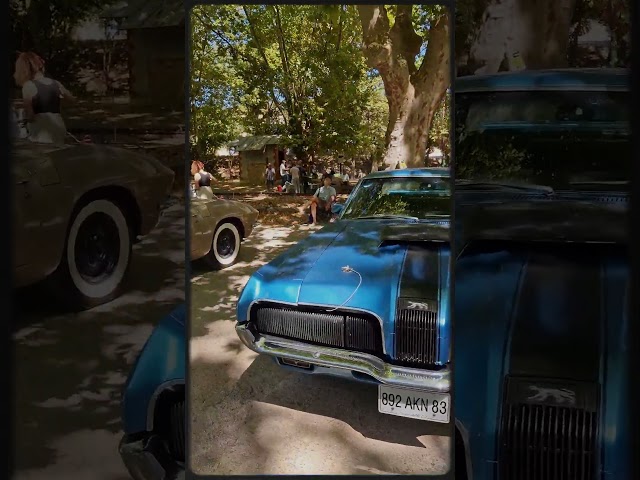 Ricaines du Var à Sainte Anastasie Sur Issole - partie 2