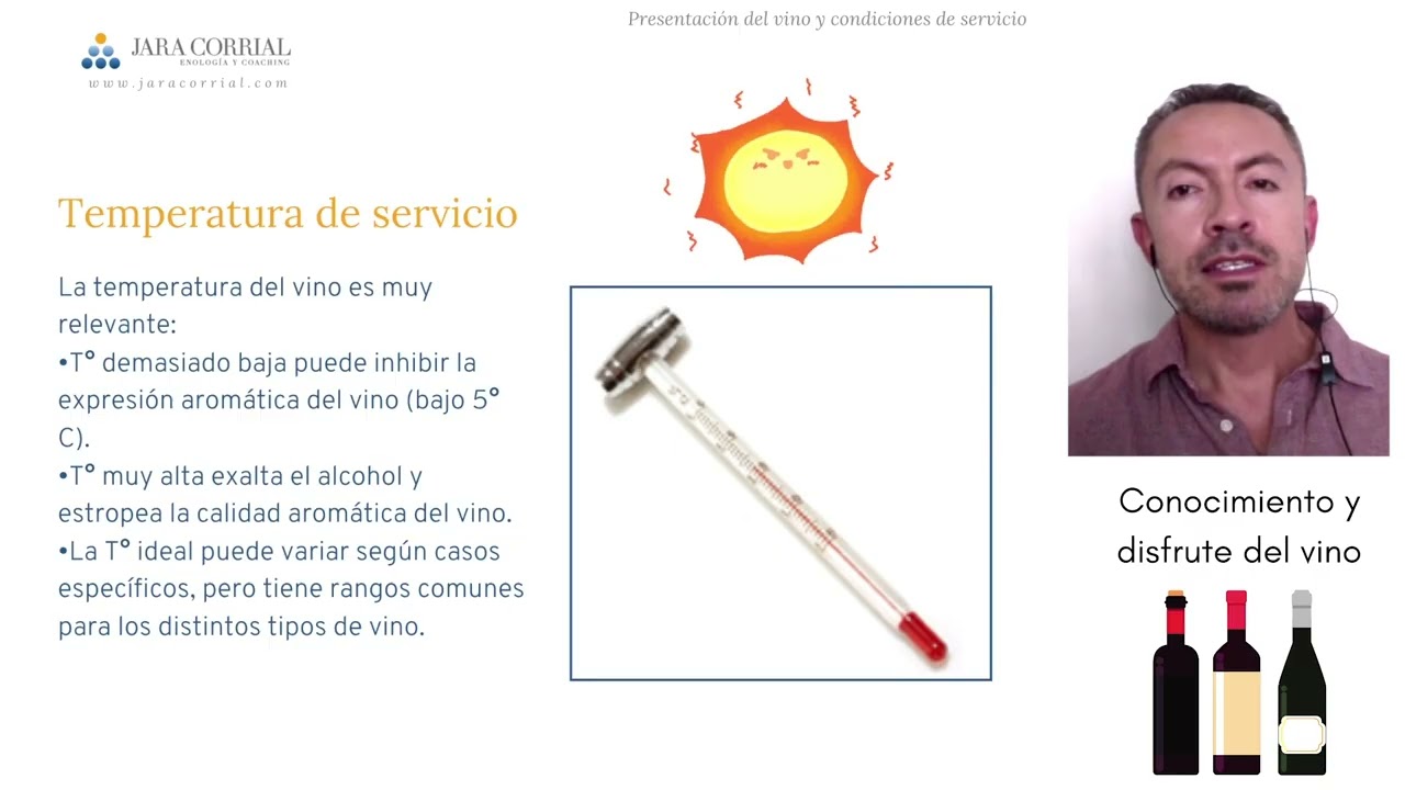 Guarda y Servicio del Vino