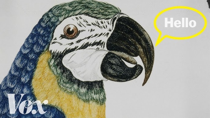 Unravelling the mystery of parrot longevity