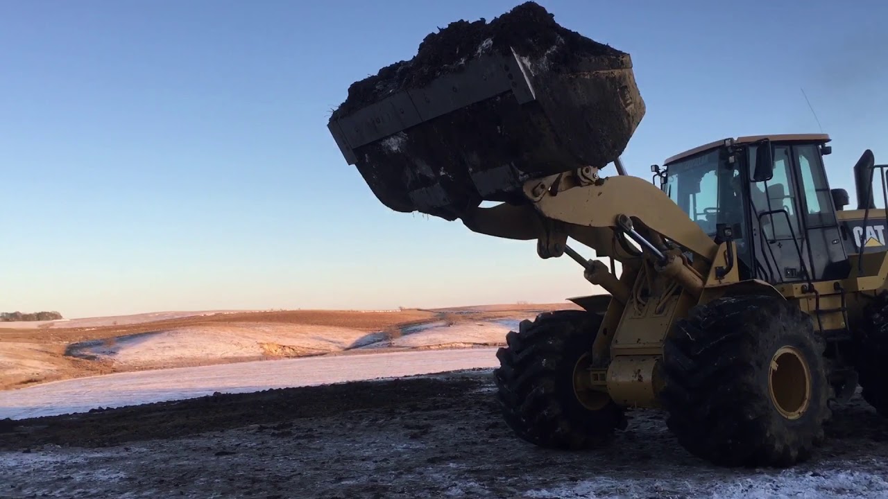 Cat 966H loading manure