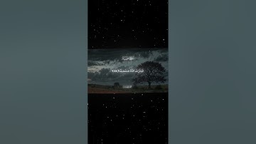 سورة طه|105-108|القارئ:#محمد_اللحيدان #قران #quran #راحة_نفسية #قران_كريم #تلاوة_هادئة ##تلاوة_خاشعة