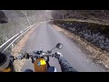 野生の動物に遭遇して発狂する底辺