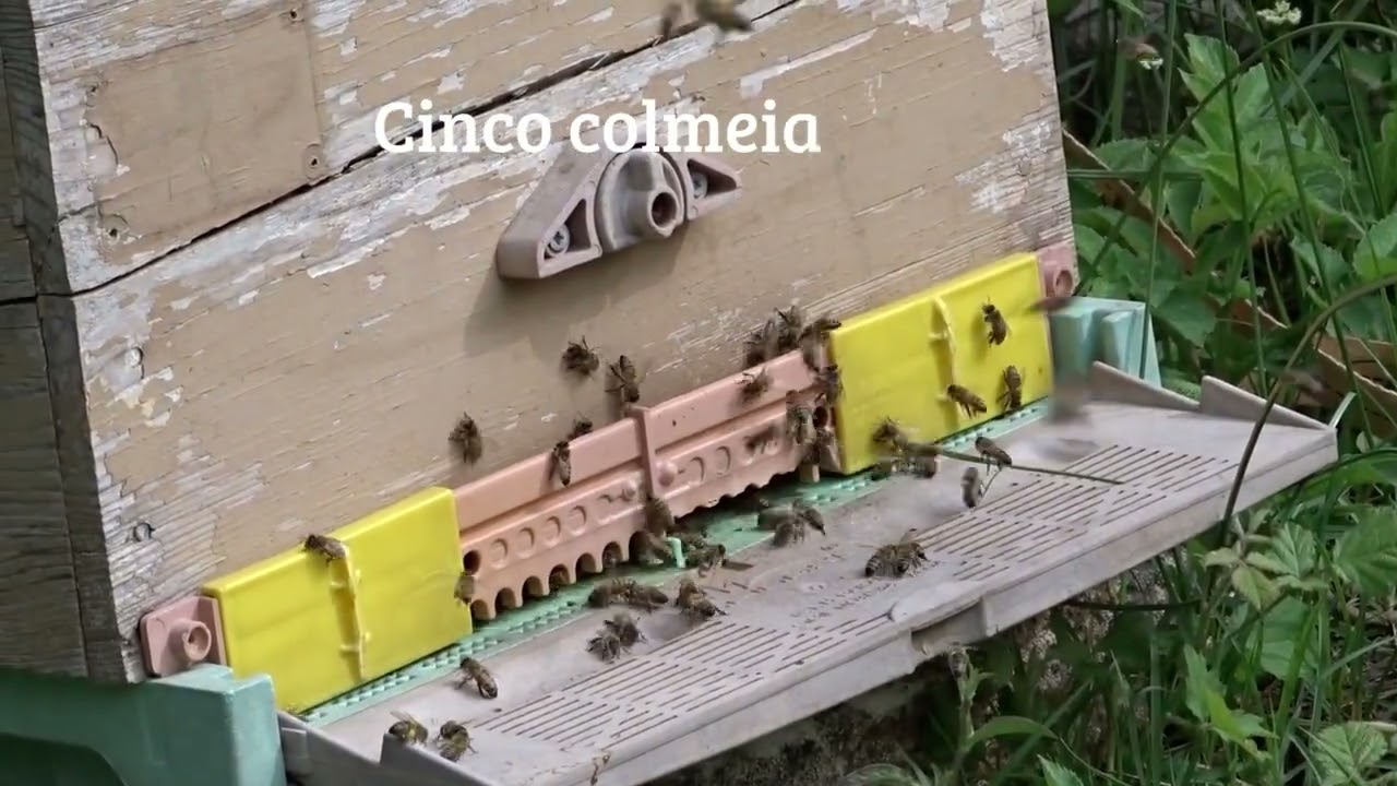 Como as MUDANÇAS CLIMÁTICAS podem interferir no SEU BOLSO!!