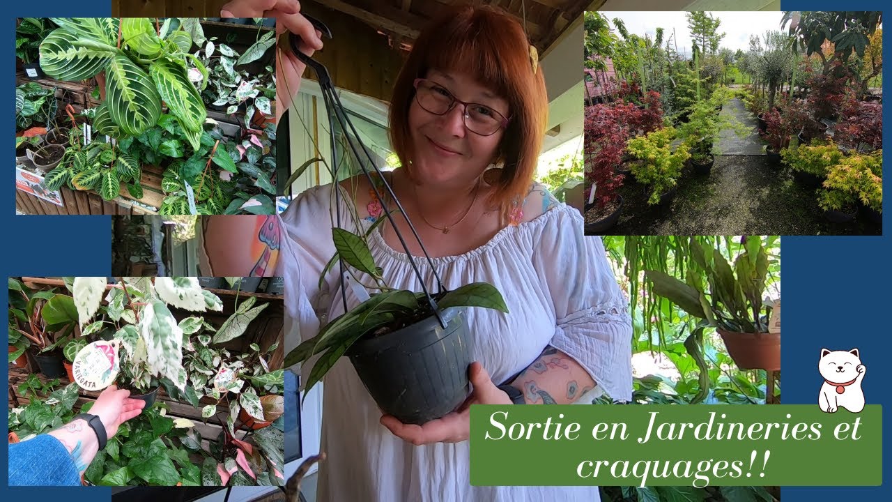 Sortie en JARDINERIES  en bonne compagnie🌿 Et forcément j'ai craqué !!!