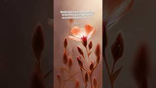 Realizzare il Pieno Potenziale della Vita è più importante della durata della tua vita. #SadhguruIta