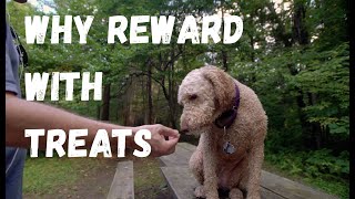 Using Treats to TRAIN YOUR DOG - Why Do It - Robert Cabral Dog Training