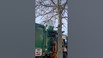 WM Labrie Automizer vs full bin