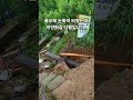 폭우에 논둑이 무너졌는데, 그래도 이만한게 다행
