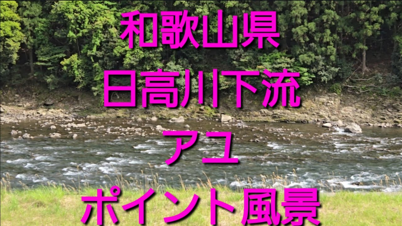 2025.5.5. アユ早期解禁の和歌山　日高川下流地区　釣場紹介？動画。