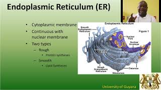 screenshot of the youtube video