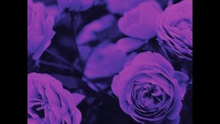 Pastel Ghost  Prism synthpop 80slr005