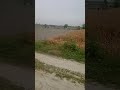 #nature #vlog #viralvideo