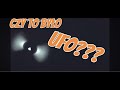 Czy to ptak? Samolot? Ufo???? Superman???