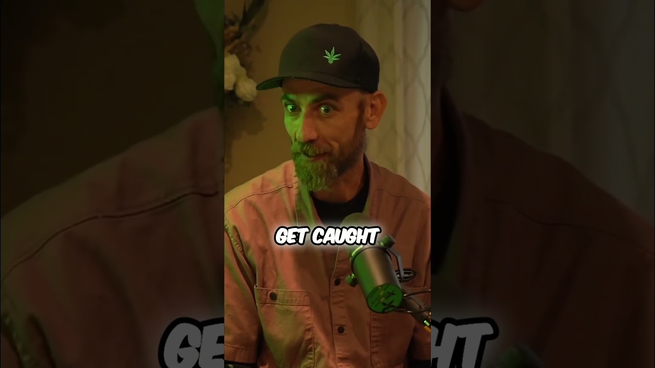 Национальная гвардия армии (пиво, лес и военная служба) 