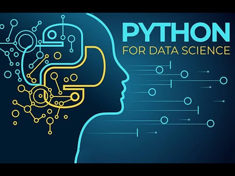 What is Data