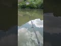 Рыбалка