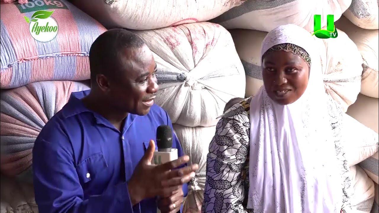 AYEKOO: INTERVIEW WITH TECHIMAN MARKET FOODSTUFF SELLERS
