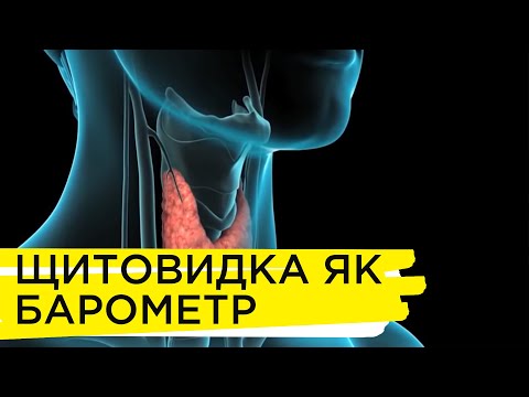 Щитовидна залоза | Рубрика "Запитай у лікаря"