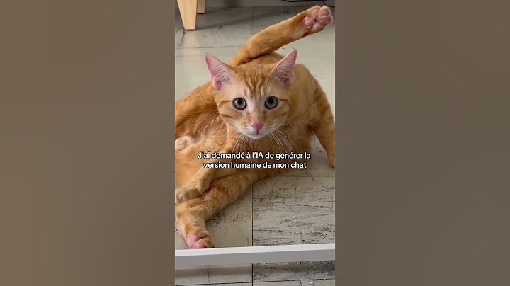 J’ai demandé à l’IA de générer  la version humaine de mon chat 🫣😂 #humour #trend #lundi #cats