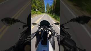 2025 ZX4-RR 400CC SCREAMER 🔥 #bikelife #zx4rr #motorcycle #inline4 #puresound