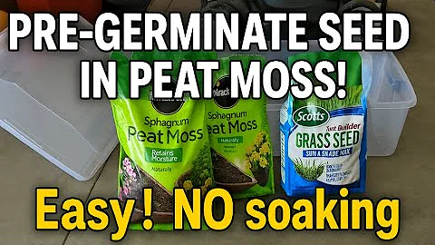 Pre-germinate Grass Seed in Peat Moss: FAST! EASY!  No soaking!
