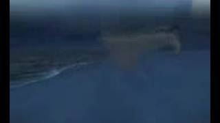 Video Mais Procurado