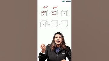 ഓണപരീക്ഷക്ക് പ്രധാനപ്പെട്ടൊരു Question ! | Xylem Class 2