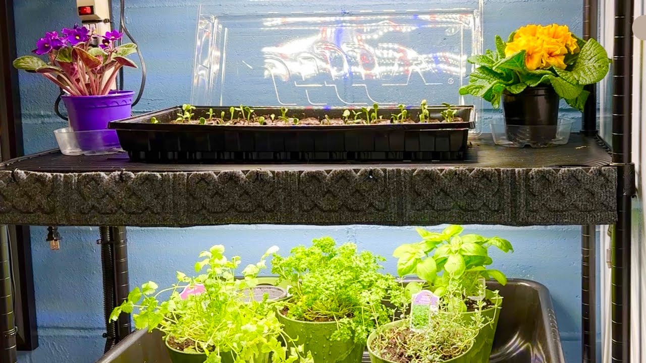 Indoor Grow Station For Herbs, Seeds And Plants Save Money ! YouTube