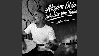 Akşam Oldu Sokaklar Yine Tehna