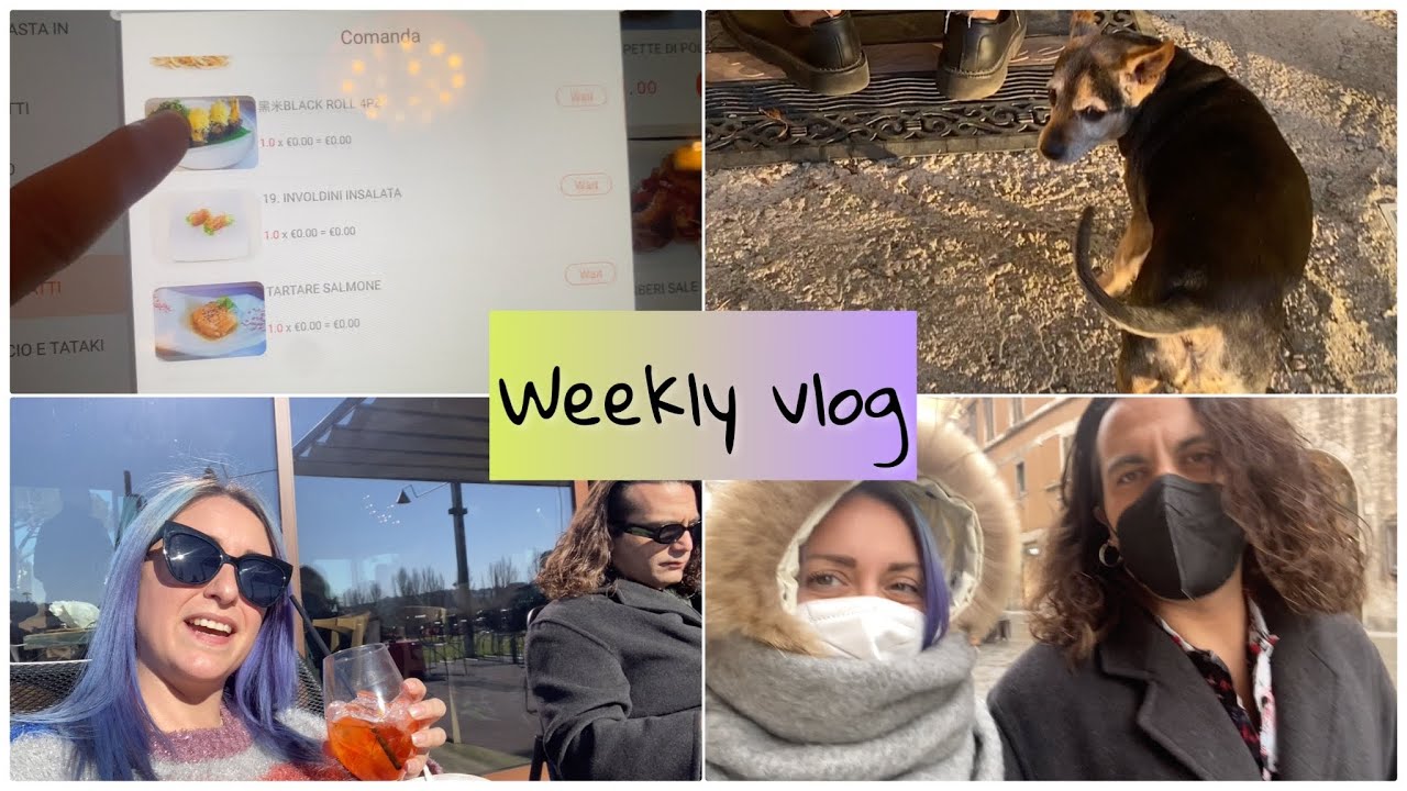 Il mio primo WEEKLY VLOG - sushi e Matilde va dal parrucchiere dei cani