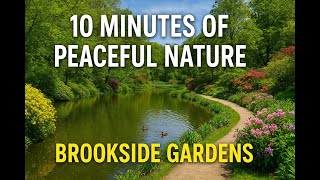 10 Minutes of Relaxing Nature Sounds at Brookside Gardens | Peaceful Garden Walk for Stress Relief