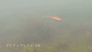 IP-18 SC アクション