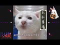 DJ 小慌 - 2023.風裡雨裡我在包廂內等你：）（天弘專屬）