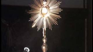 Adoracja Najświętszego Sakramentu Balham Londyn By Daniel Cichy Zoom Tv